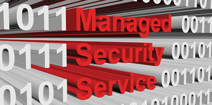 Managed Security Service Provider